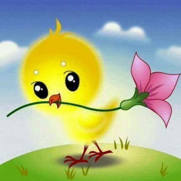 Лето пришло иллюстрации