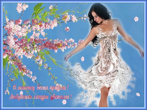 Алексей Долотов художник