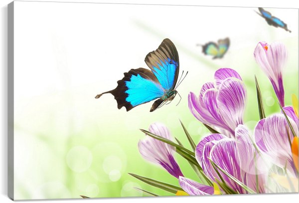 Весенние цветы и птицы