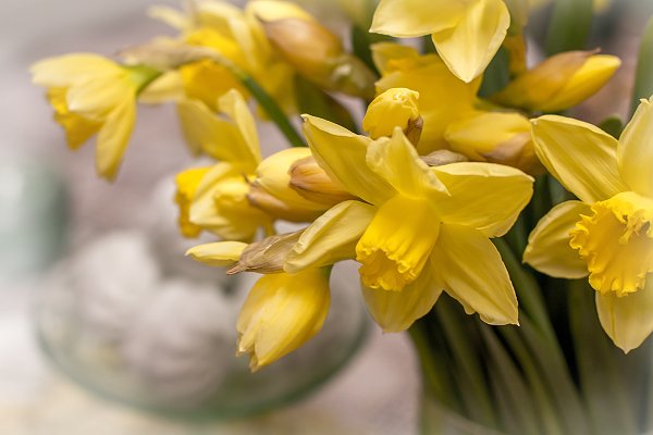 Отличной весенней недели