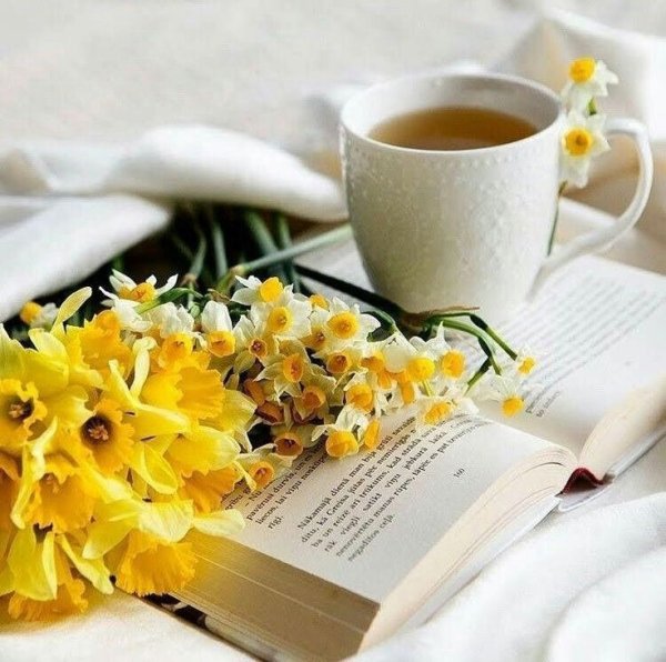 С добрым утром понедельника