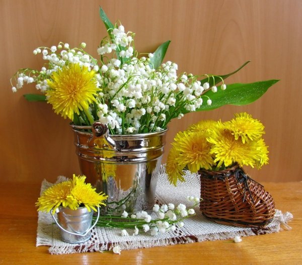 Майского утра и хорошего настроения