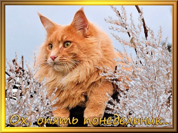 С последним понедельником осени