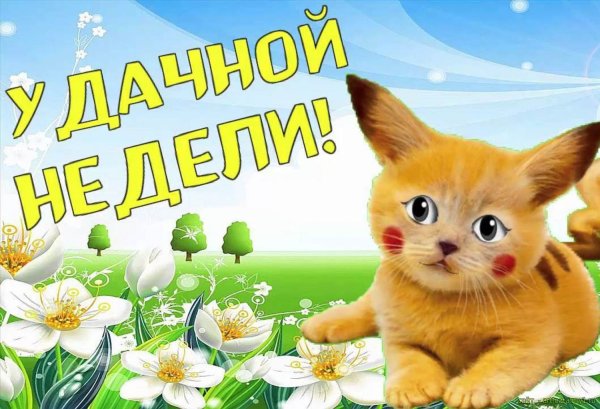 Удачной трудовой недели и хорошего настроения