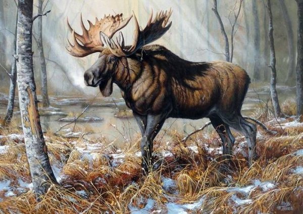 Татьяна Данчурова олень