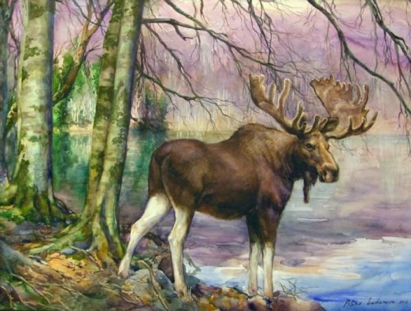 Картина Лось в лесу