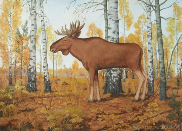 Осенний пейзаж с лосем