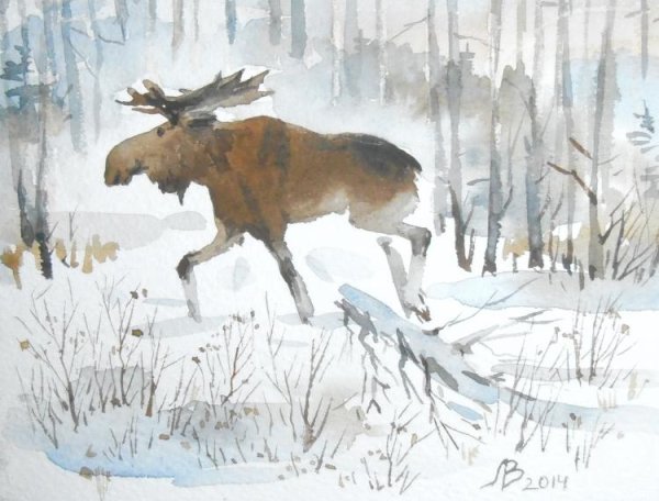 Лось гуашью