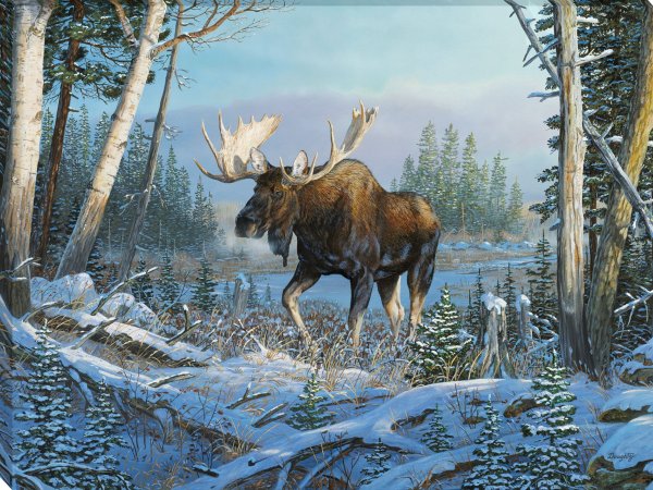 Терри Даути