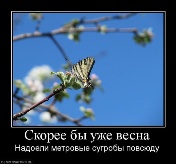 Смешное про весну