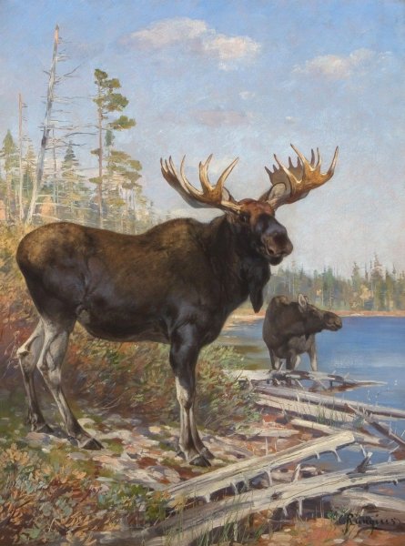 Robert Bateman Лось