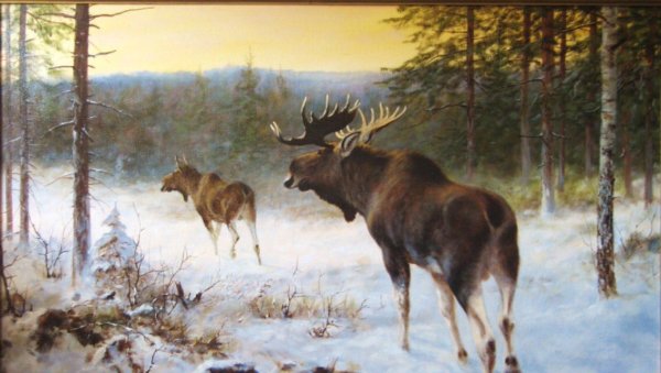 Пейзаж с лосем