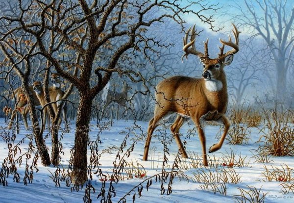 Олень в зимнем лесу