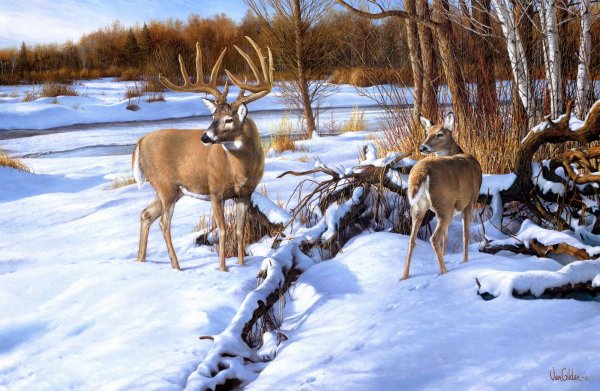 Олень в весеннем лесу