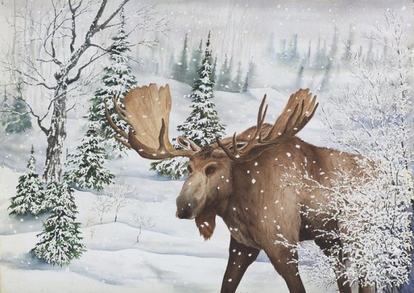 Лоси в зимнем лесу для дошкольников