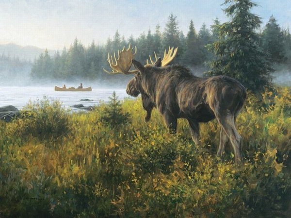 Роберт Дункан Лось