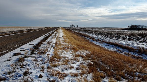 Дорога ранней весной
