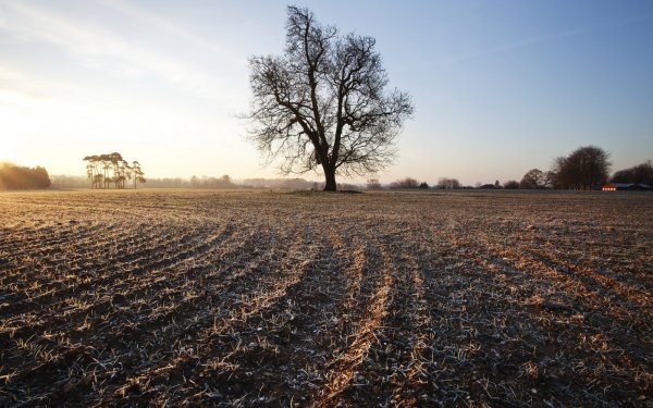 Пашня Вспаханное поле