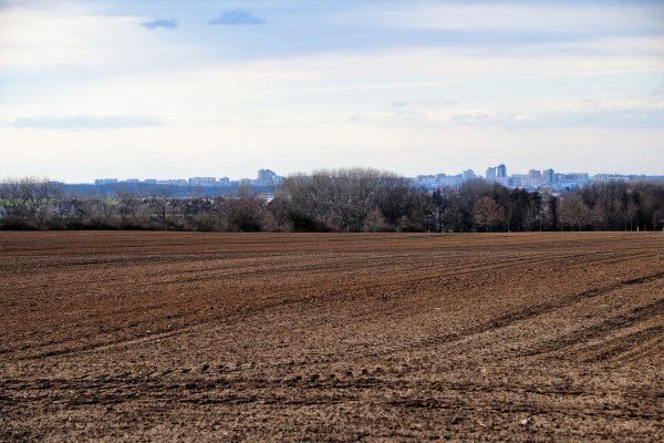 Поле ранней весной