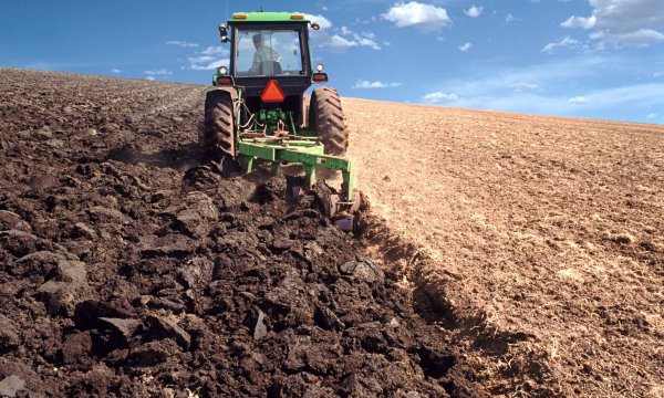 Трактор пашет поле