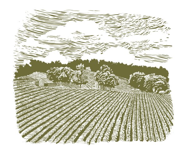 Рисование для детей пашня