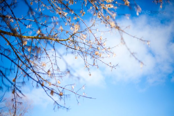 Ясное небо весной