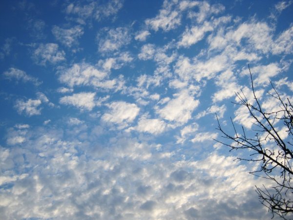 Голубое Весеннее небо