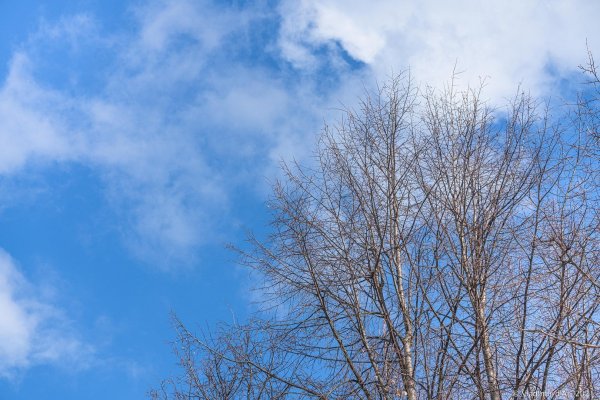 Небо весной