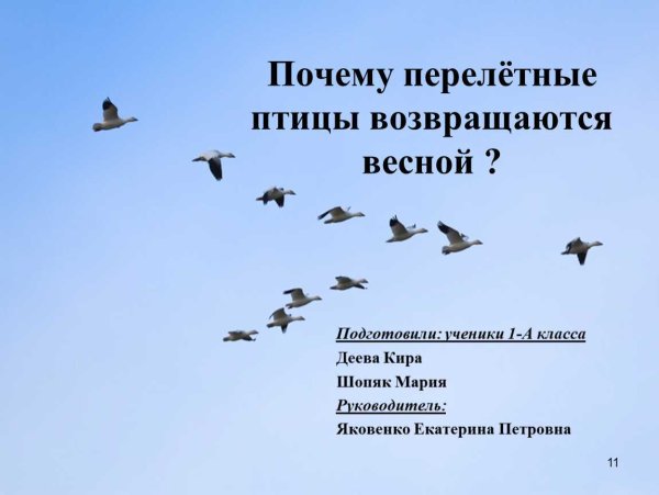 Стая журавлей