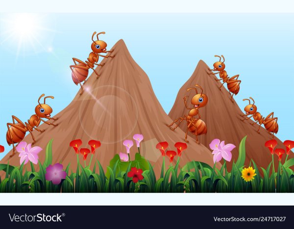 Муравьи строят Муравейник