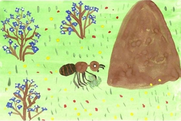 Муравей древоточец Муравейник