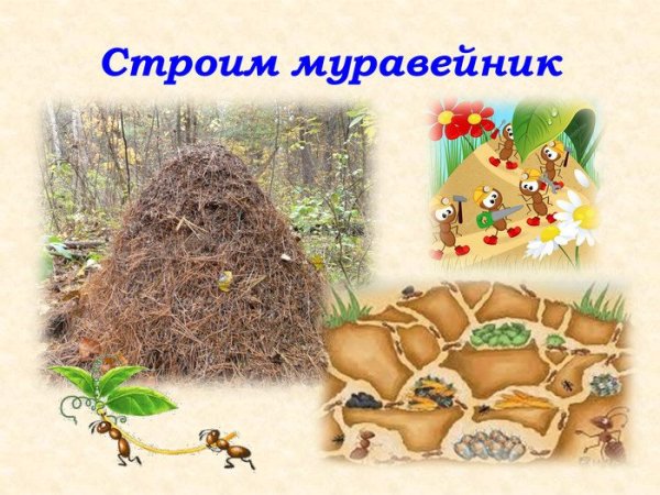 Муравейник мультяшный без фона