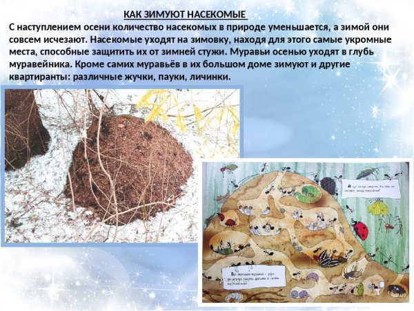 Весенний Муравейник