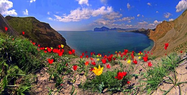 Долина роз Судак