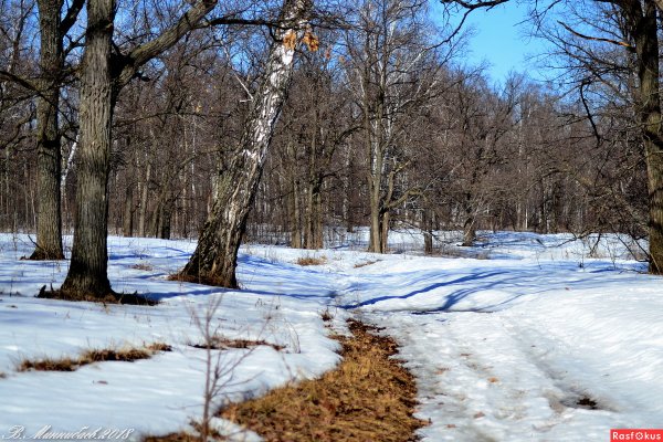 Пейзаж приметы весны