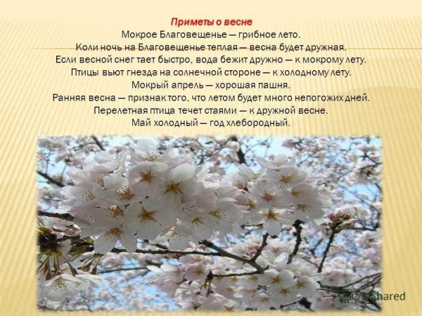К теплой весне приметы