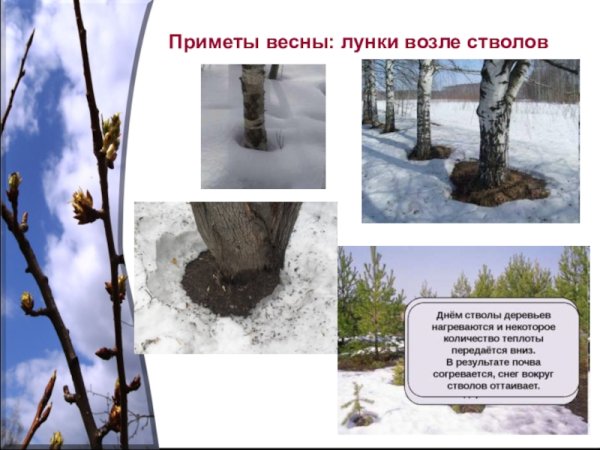 Сезонные изменения Весна