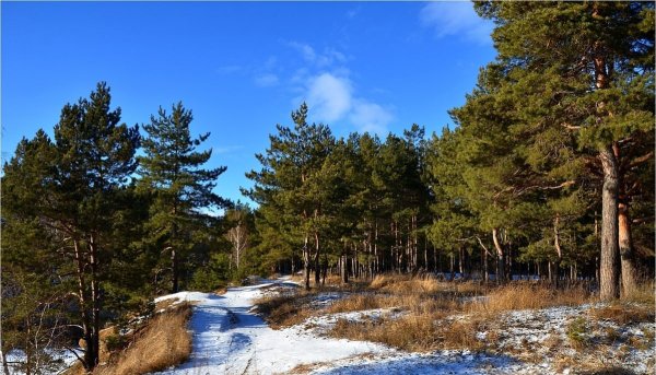 Сосновый Бор Верхотурье