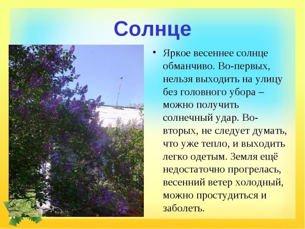 Правила поведения весной на улице для детей