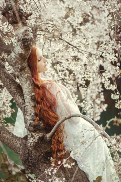 Красивая девушка рисунок