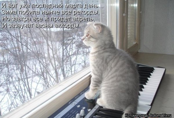 Зима вернулась