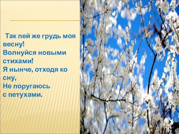 Весна пришла весне дорогу