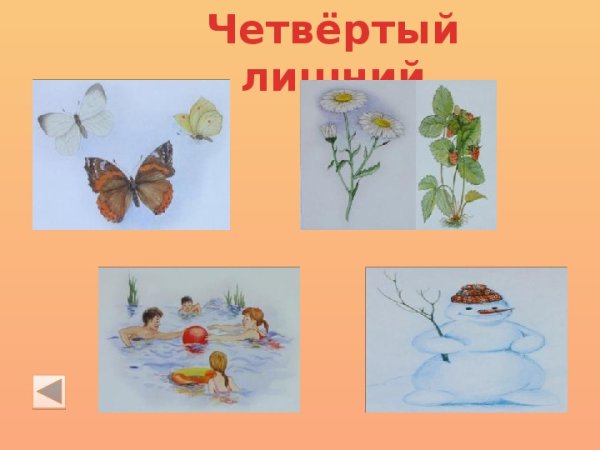 Четвертый лишний лето