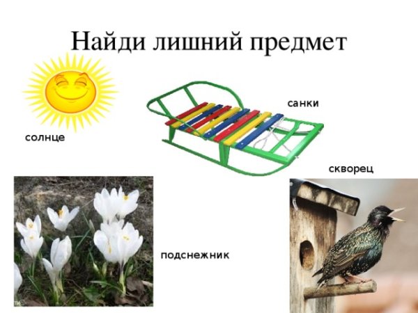 Предметы весенние тематика