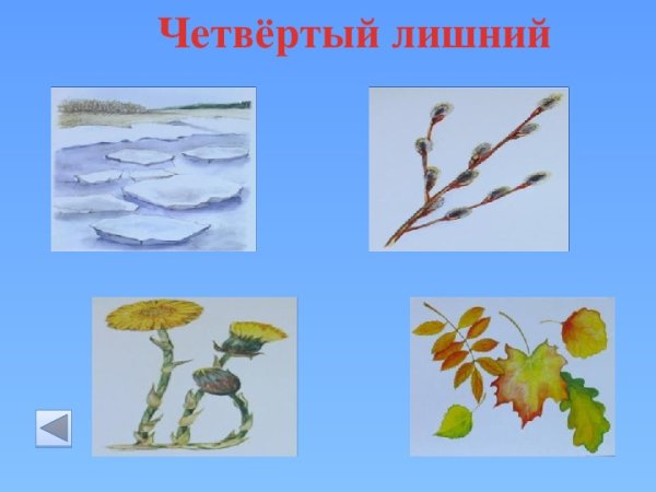 Четвертый лишний тема Весна