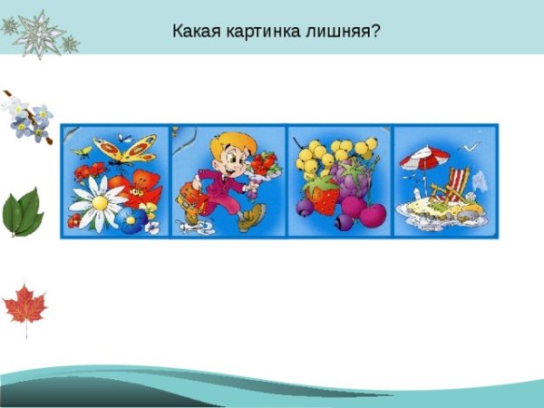 Четвертый лишний по временам года