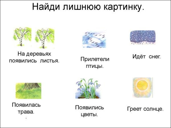 Четвертый лишний времена года