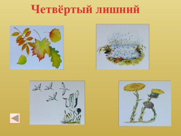 Игра четвертый лишний осень