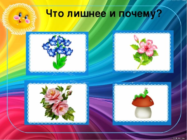 Найди лишний предмет в каждой группе