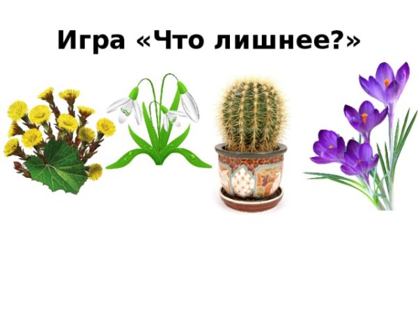 Признаки зимы для детей